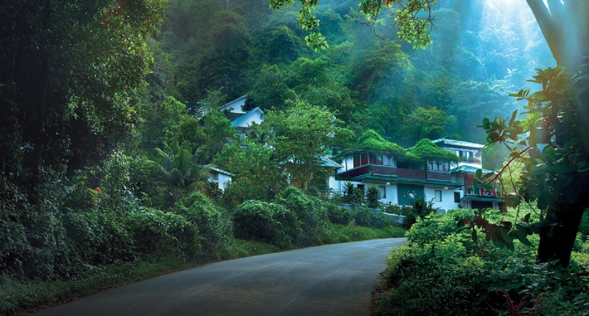 Bellavista Resort Munnar Eksteriør bilde