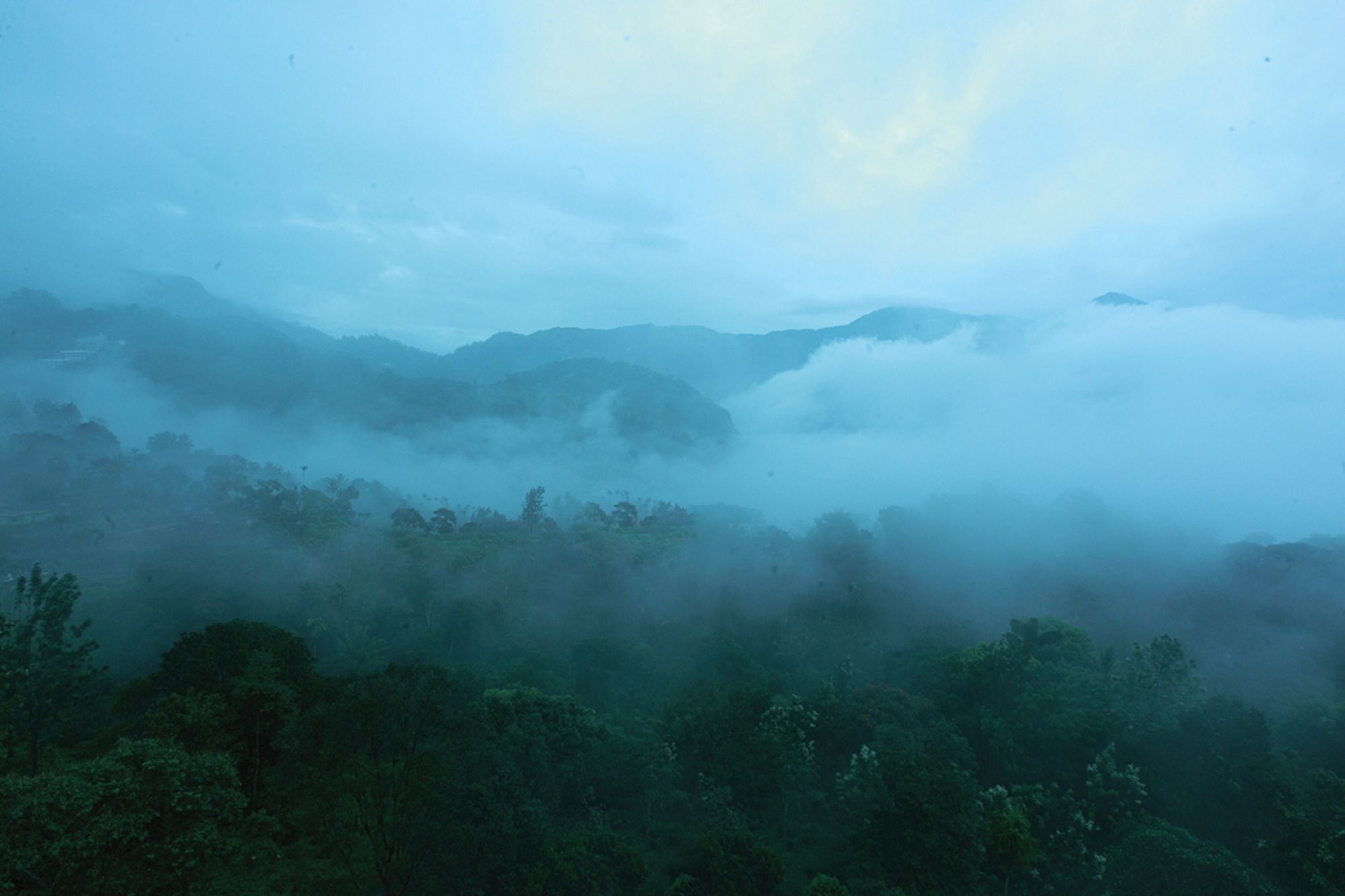 Bellavista Resort Munnar Eksteriør bilde