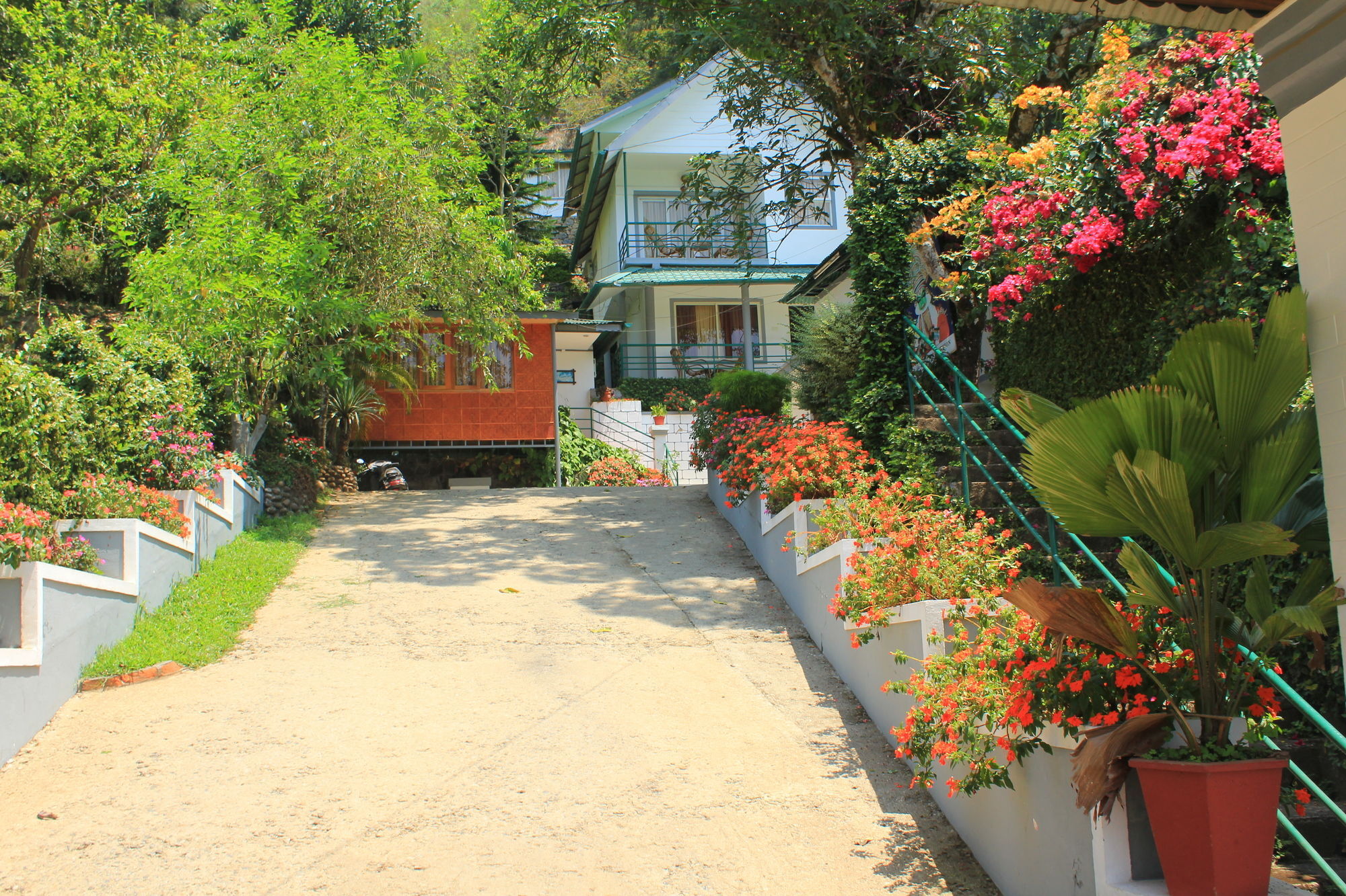 Bellavista Resort Munnar Eksteriør bilde